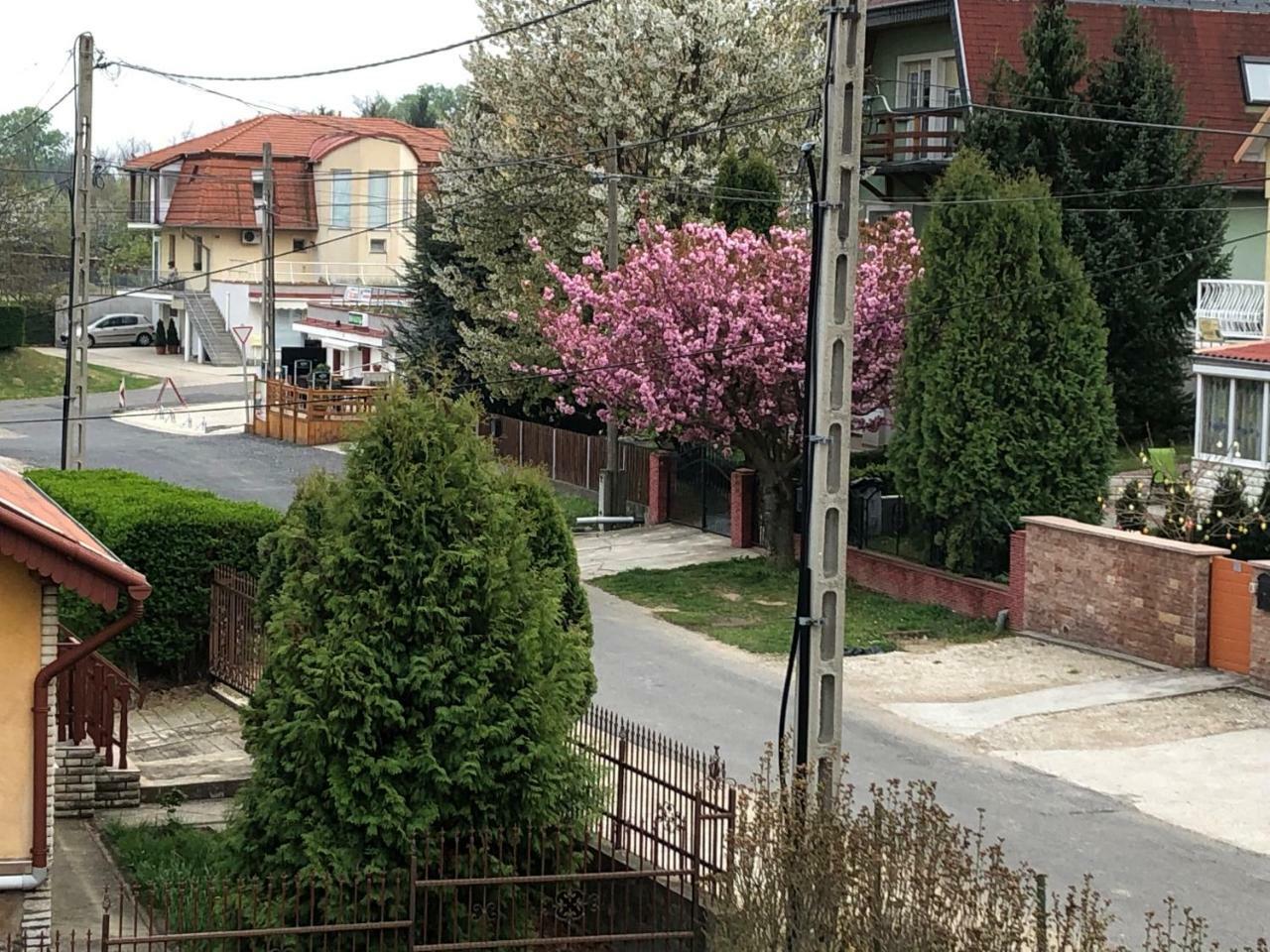 Jozsef Apartments House Zalakaros Exterior foto